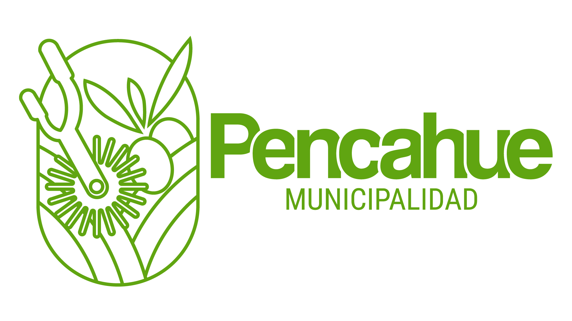 Plan De Trabajo De Salud Municipal Pdf